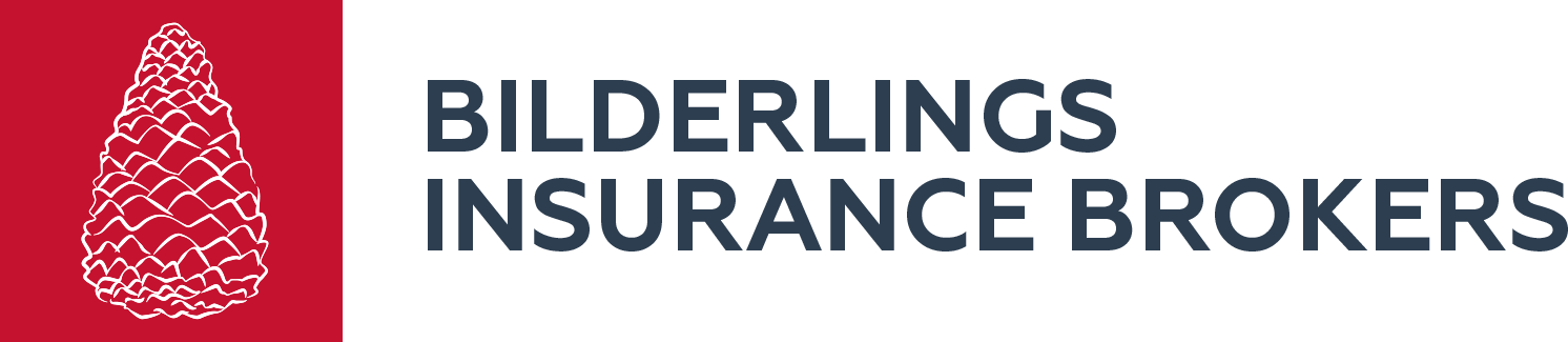 550b0af8836b5b2f6c2cd685_bilderlings-insurance-logo.png
